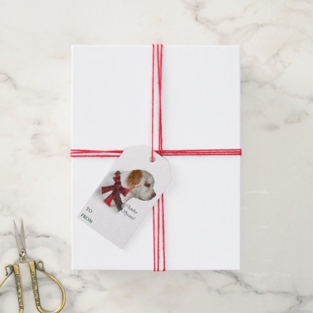 Clumber Spaniel Christmas Gift Tags (With Twine)