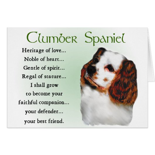 Clumber Spaniel Gifts Cards (Front Horizontal)