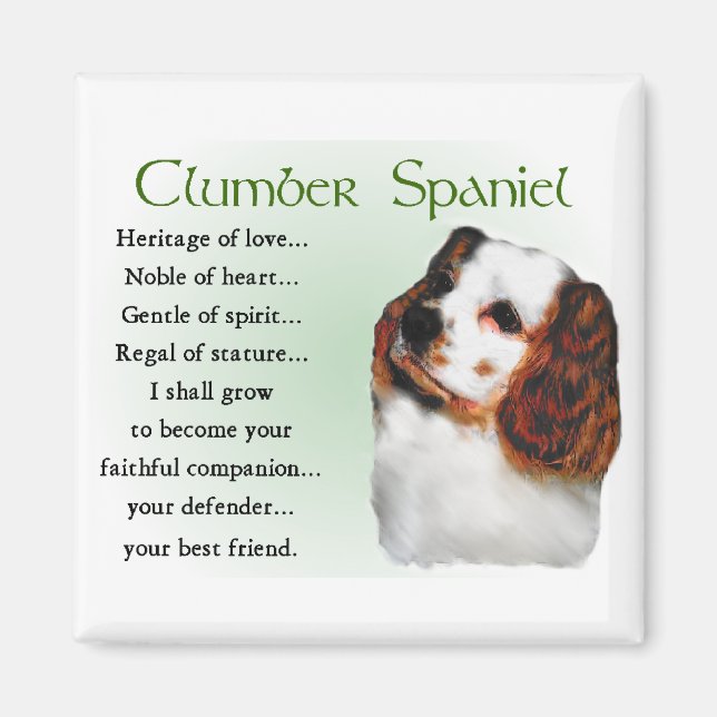 Clumber Spaniel Gifts Magnet (Front)