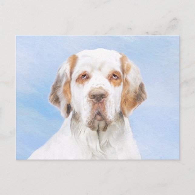 Clumber Spaniel Painting - Cute Original Dog Art Postcard (Front)