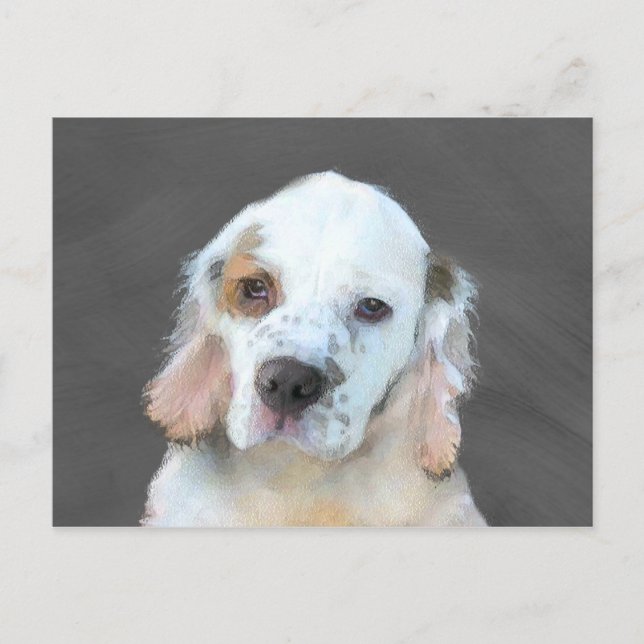 Clumber Spaniel Painting - Cute Original Dog Art Postcard (Front)