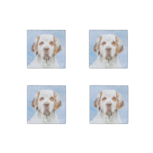 Clumber Spaniel Painting - Cute Original Dog Art Stone Magnet