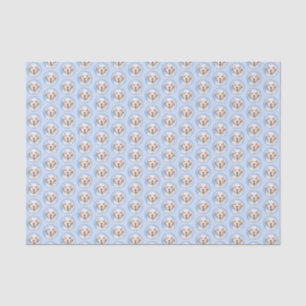 Clumber Spaniel Painting - Cute Original Dog Art Tissue Paper