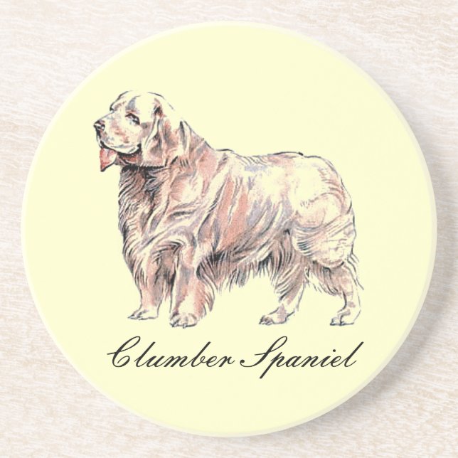 Clumber Spaniel Sandstone Coaster (Front)