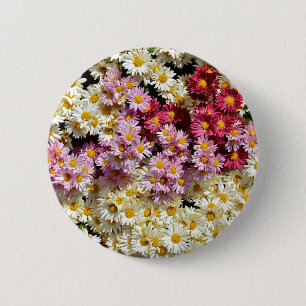 Clump of chrysanthemums button
