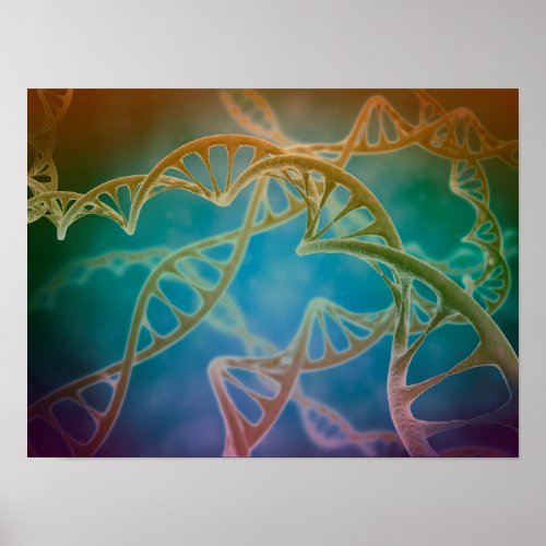 Cluster Of DNA Strands Poster