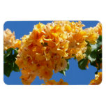 Cluster of Golden Bougainvillea Floral Magnet