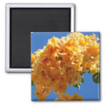 Cluster of Golden Bougainvillea Floral Magnet