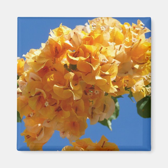 Cluster of Golden Bougainvillea Floral Magnet (Front)