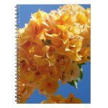 Cluster of Golden Bougainvillea Floral Notebook