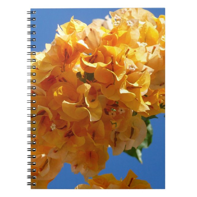 Cluster of Golden Bougainvillea Floral Notebook (Front)