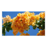 Cluster of Golden Bougainvillea Floral Photo Print