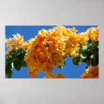 Cluster of Golden Bougainvillea Floral Poster