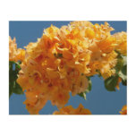 Cluster of Golden Bougainvillea Floral Wood Wall Art