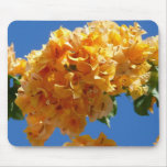 Cluster of Golden Bougainvillea Mouse Pad