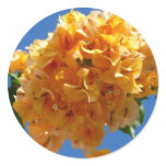 Cluster of Golden Bougainvillea Tropical Floral Classic Round Sticker
