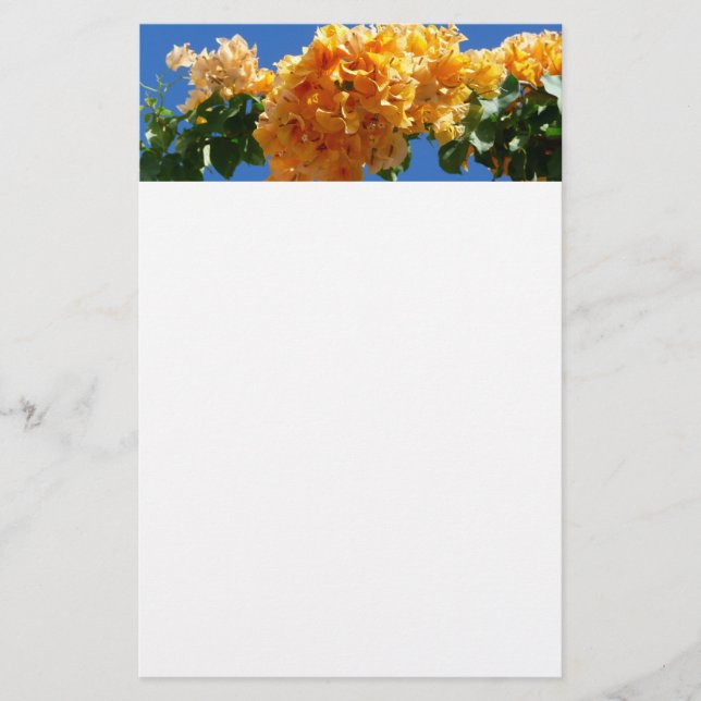 Cluster of Golden Bougainvillea Tropical Floral Stationery (Front)
