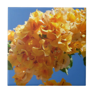 Cluster of Golden Bougainvillea Tropical Floral Tile