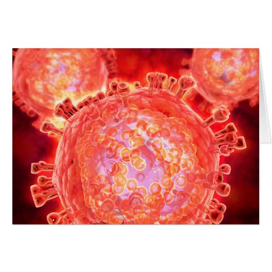 Cluster Of HIV Virus 1 Cards (Front Horizontal)