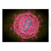 Cluster Of HIV Virus 2 (Front Horizontal)