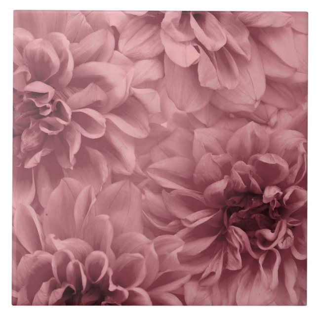Cluster of ight Mauve Dahlias Floral Ceramic Tile (Front)
