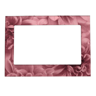 Cluster of ight Mauve Dahlias Floral Magnetic Frame