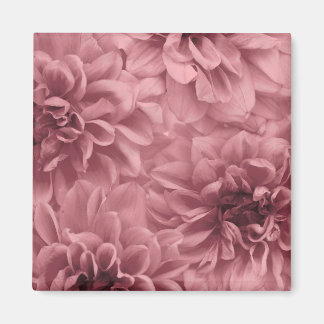 Cluster of Light Mauve Dahlia Flowers Magnet