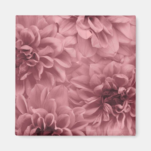 Cluster of Light Mauve Dahlia Flowers Magnet (Front)