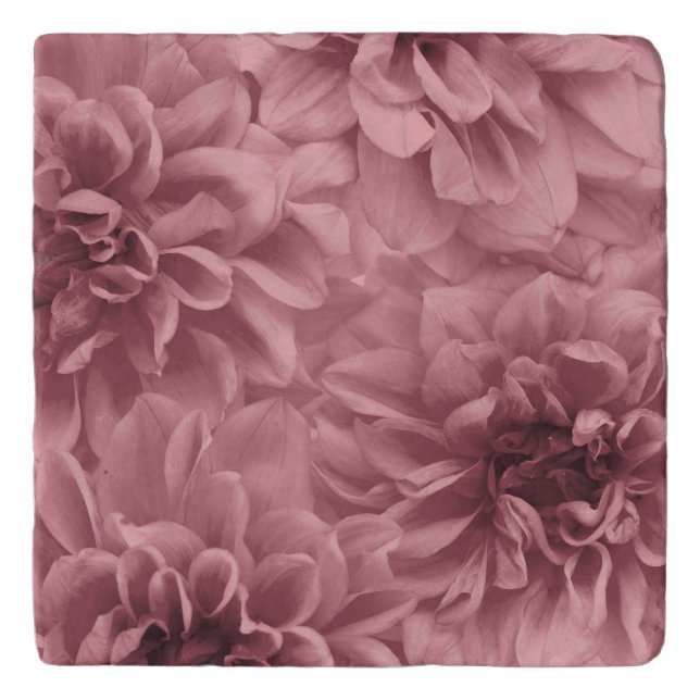 Cluster of Light Mauve Dahlia Flowers Trivet (Front)