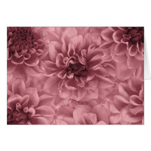 Cluster of light Mauve Dahlias Cards