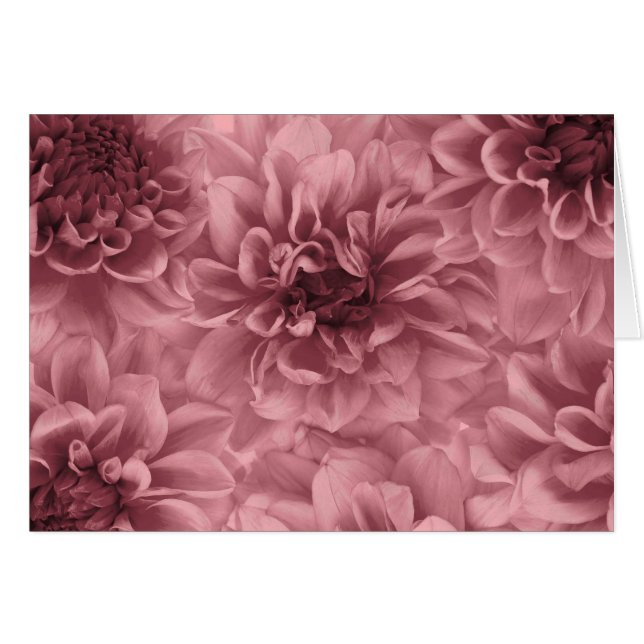 Cluster of light Mauve Dahlias Cards (Front Horizontal)