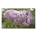 Cluster of Lilac Blossoms Spring Floral Rectangular Sticker