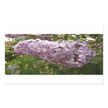 Cluster of Lilac Blossoms Spring Floral Rectangular Sticker
