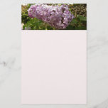 Cluster of Lilac Blossoms Spring Floral Stationery