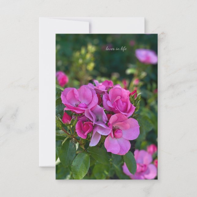 Cluster of Pink Roses Note Card (Front)