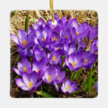 Cluster of Purple Crocuses Spring Floral Ceramic Ornament