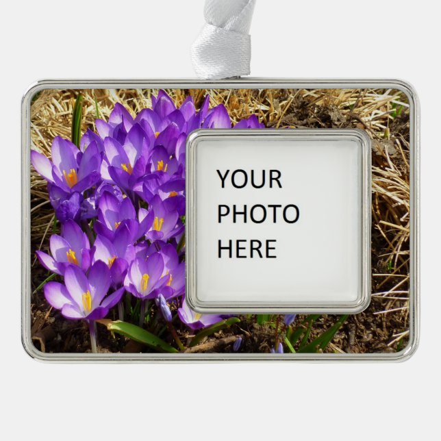 Cluster of Purple Crocuses Spring Floral Christmas Ornament (Front)