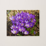 Cluster of Purple Crocuses Spring Floral Jigsaw Puzzle