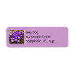 Cluster of Purple Crocuses Spring Floral Label