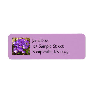 Cluster of Purple Crocuses Spring Floral Label