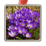 Cluster of Purple Crocuses Spring Floral Metal Ornament