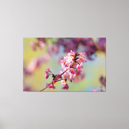 Cluster Of Sakura Blossoms On Green Blue Purple Canvas Print