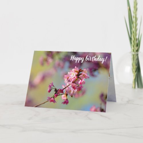 Cluster Of Sakura Blossoms On Green Blue Purple Card