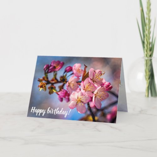 Cluster Of Sakura Cherry Blossoms In The Wind Card