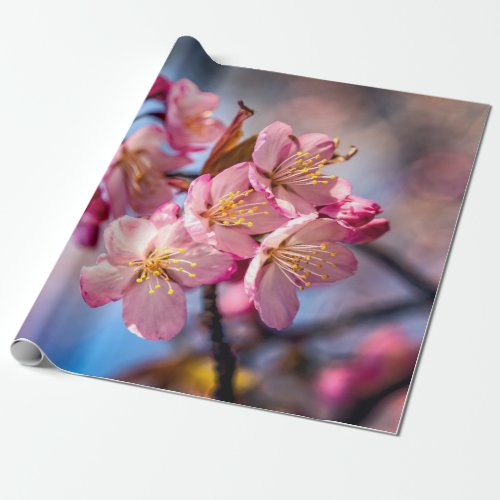 Cluster Of Sakura Cherry Blossoms In The Wind Wrapping Paper