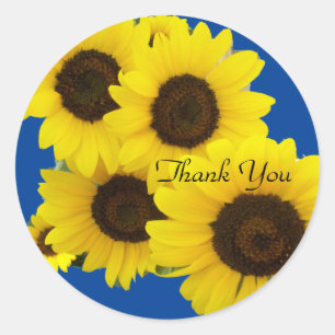 Cluster of Sunflowers on Blue Thank You Classic Round Sticker