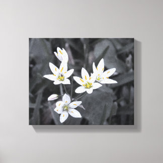 Cluster of Tiny Blooms Stretched Canvas Print