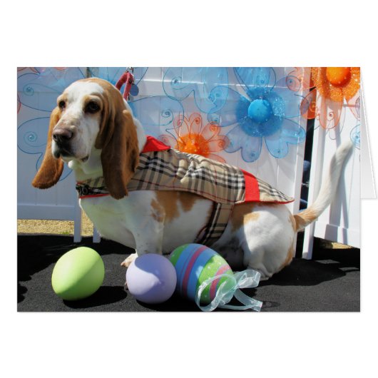 Clyde - Basset Hound -3 Cards (Front Horizontal)