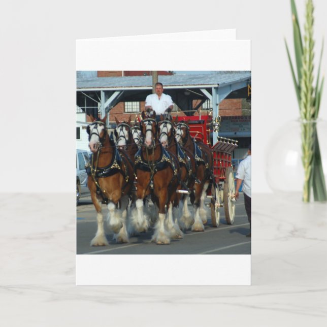 Clydesdale 6 horse hitch card (Front)
