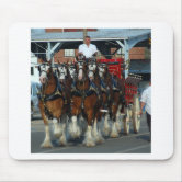Sunshine CasesBlack Percheron Draft Horse in Show Tack Art by Denise Every Mouse Pad Trivet Cooking Hot Pad Sunshine CasesBlack Percheron Draft Horse in Show Tack Art by Denise Every Mouse Pad Trivet Cooking Hot Pad
